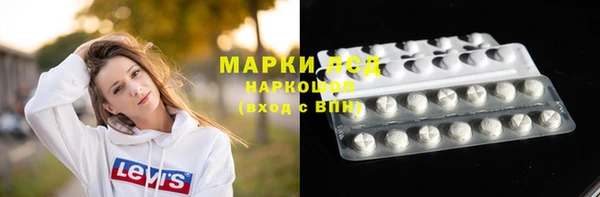 ПСИЛОЦИБИНОВЫЕ ГРИБЫ Михайлов