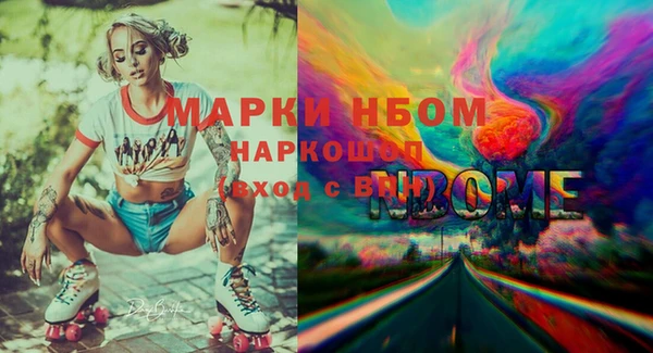 ПСИЛОЦИБИНОВЫЕ ГРИБЫ Михайлов