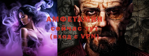 ПСИЛОЦИБИНОВЫЕ ГРИБЫ Михайлов