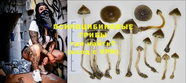 ПСИЛОЦИБИНОВЫЕ ГРИБЫ Михайлов