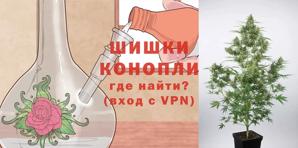 ПСИЛОЦИБИНОВЫЕ ГРИБЫ Михайлов