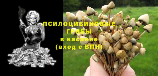 СК Михайловка