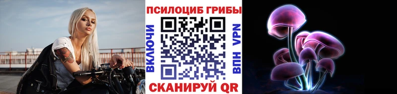 Купить где  Касимов  Галлюциногенные грибы Cubensis 